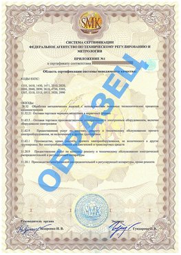 Приложение 1 Мичуринск Сертификат ГОСТ РВ 0015-002